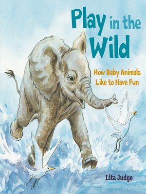 cover image of Play in the Wild